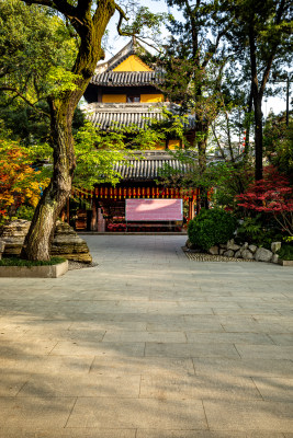 上海徐汇龙华寺自然建筑景观龙华寺塔