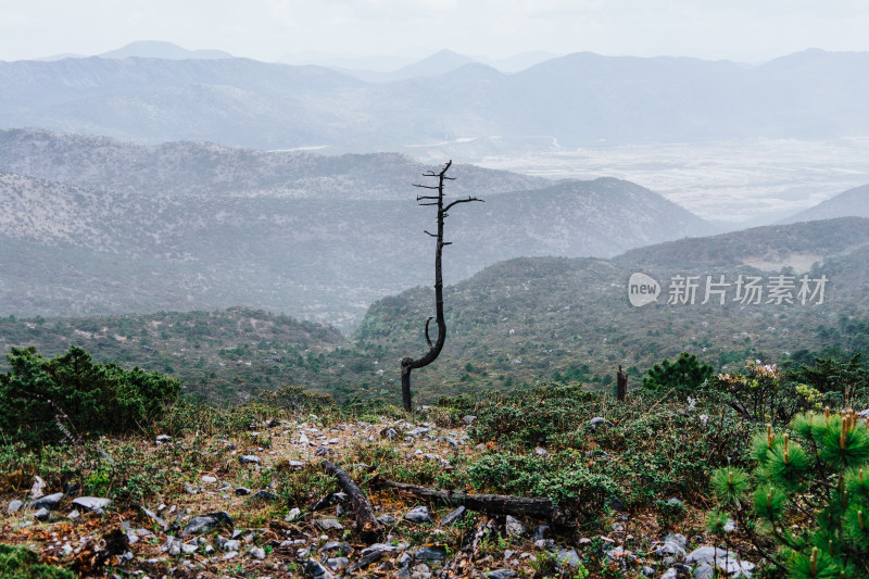 丽江玉龙雪山干河坝山脊线