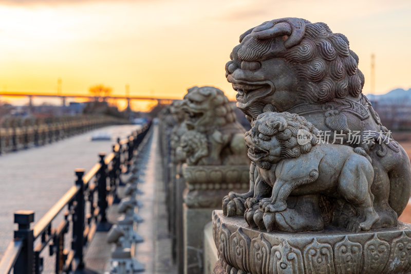 夕阳下的北京卢沟桥石狮子