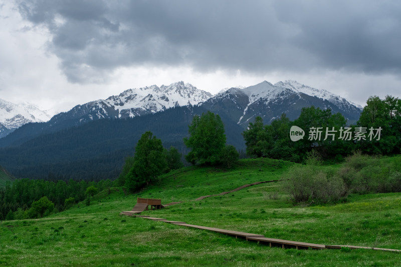 新疆伊犁恰西雪山森林草原风光
