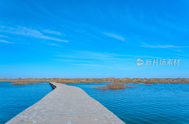 内蒙古额济纳旗居延海景区湖泊芦苇木栈道