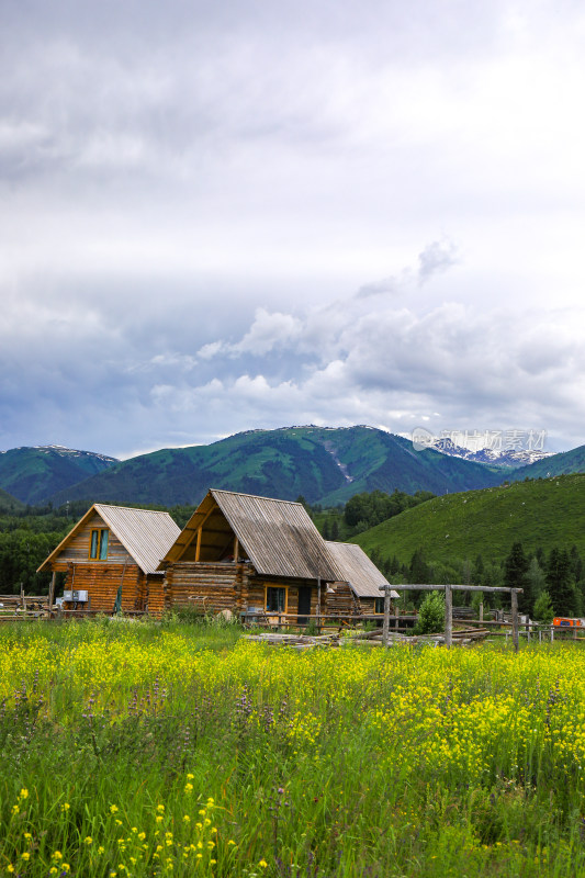 春季阿勒泰禾木村庄风景