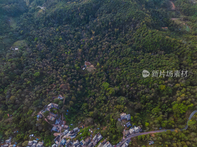 航拍被森林环绕的景迈山村庄全景