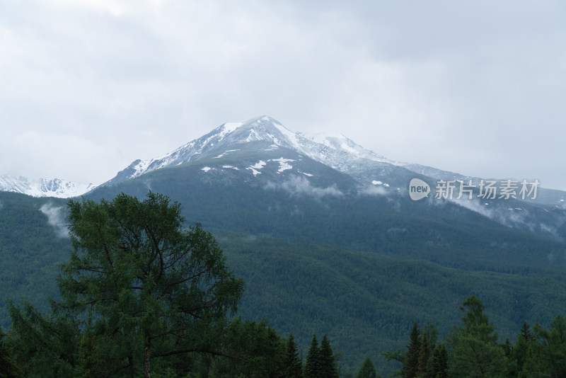 夏天新疆喀纳斯的雪山