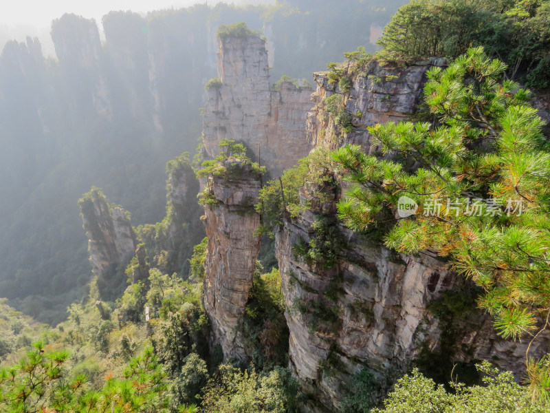 中国湖南张家界国家森林公园旅游风光