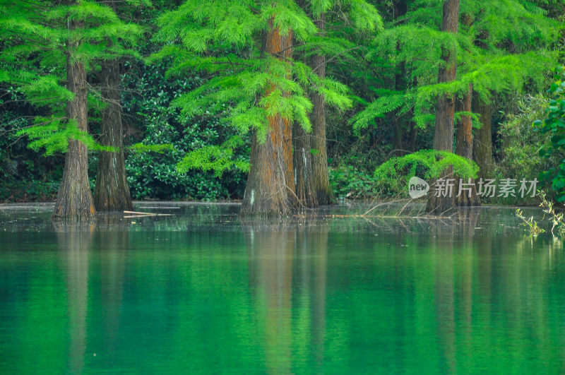 长沙风景，自然风光，长沙城景