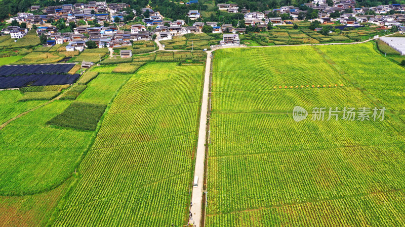 山间田野航拍