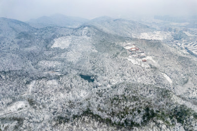 冬天森林雪景航拍图