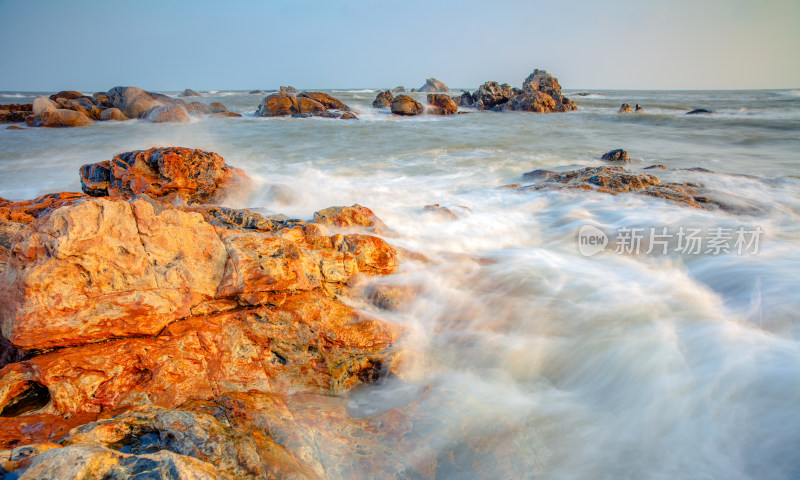 广东吴川  调德海