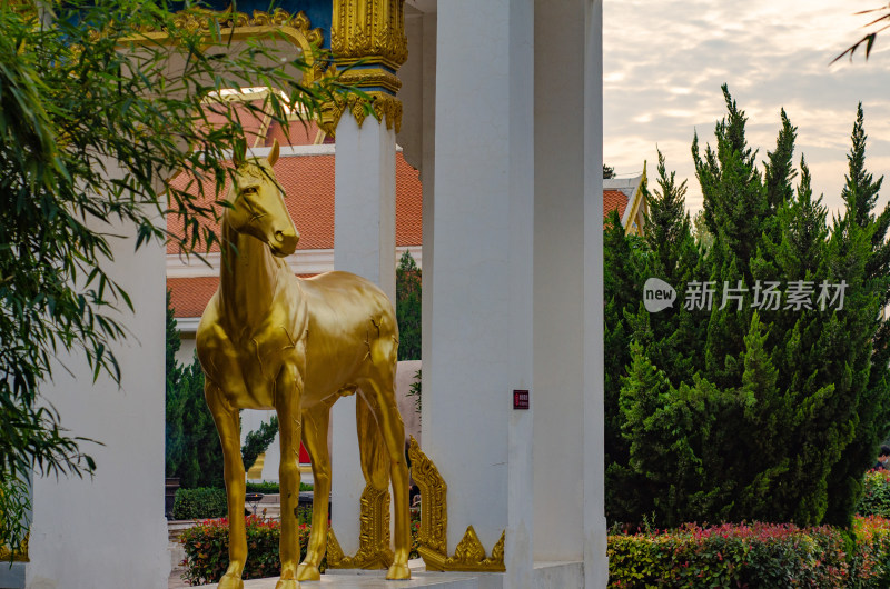 中国洛阳市白马寺，泰国佛殿苑的金马塑像