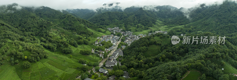 杭州西湖龙井产地梅家坞云雾茶园