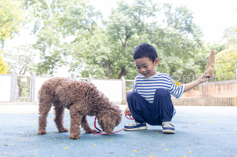 快乐的小男孩和小狗在院子里玩耍
