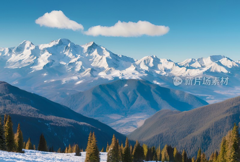 雪山高原草原森林风景