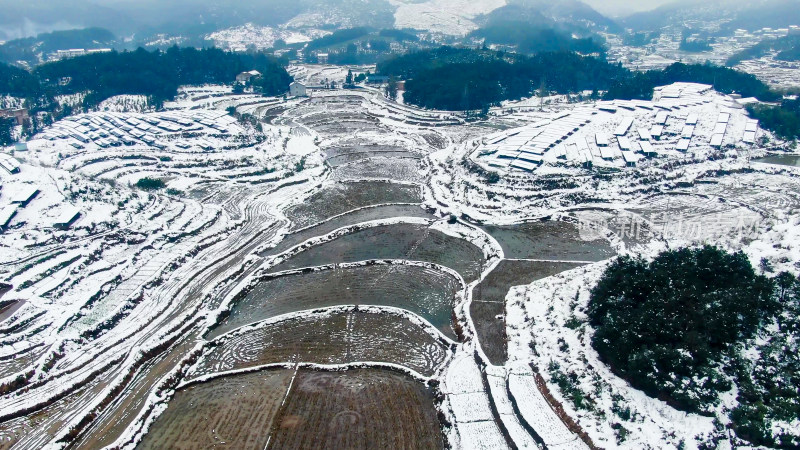 农田雪景