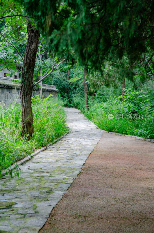 青岛崂山古寺旁的小道