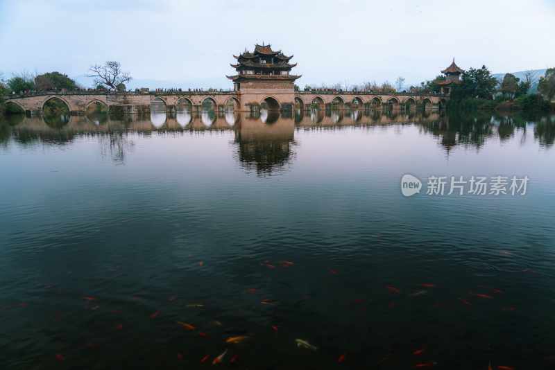 云南旅游大理洱海蒙自弥勒建水元阳梯田景区