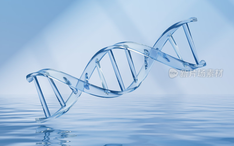 水面上的DNA结构3D渲染