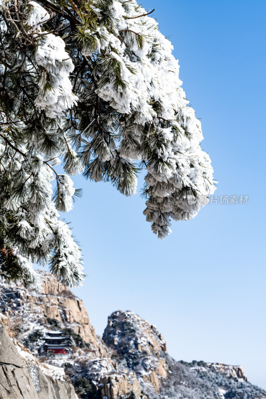 山东泰安泰山风景区雪景自然景观