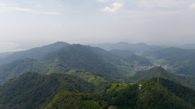 杭州西湖龙井茶园 十里琅珰