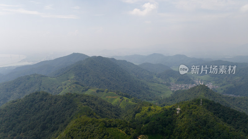 杭州西湖龙井茶园 十里琅珰