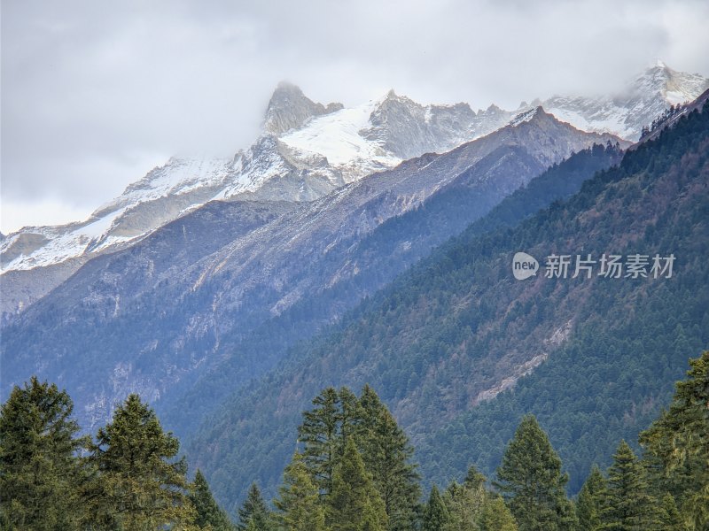 雪山森林自然景观