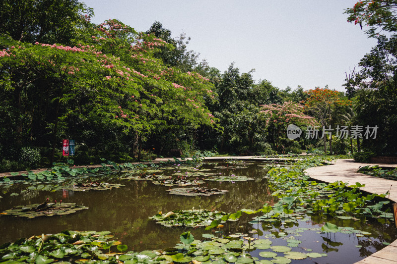 西双版纳曼听御花园景区