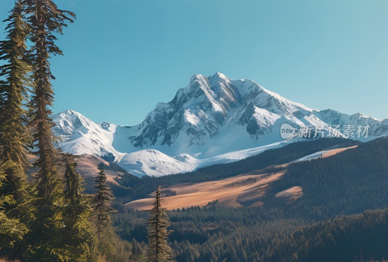 雪山高原草原森林风景