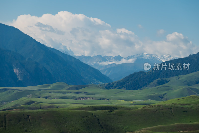 夏日，新疆喀拉峻大草原风光