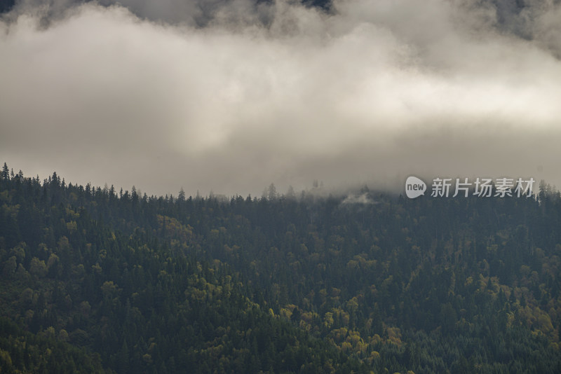 云雾中的森林山峰虎头山