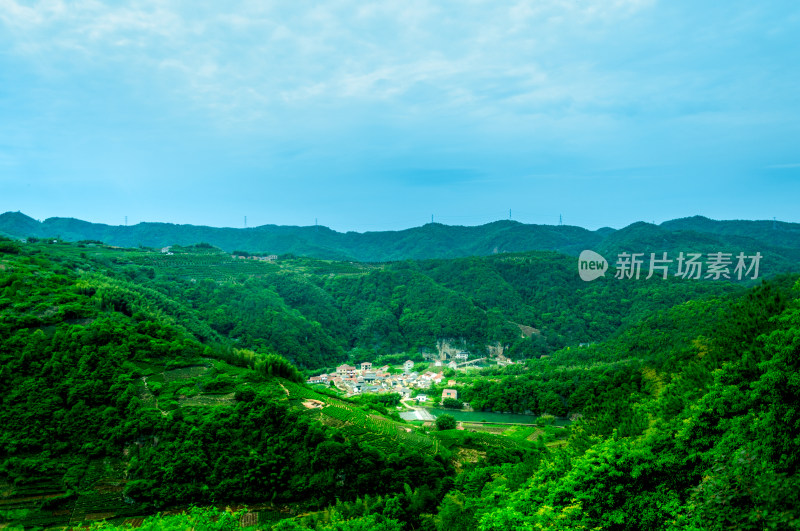 山中的自然风景