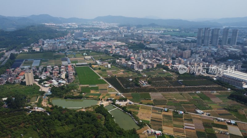 广东东莞：村庄附近的农田