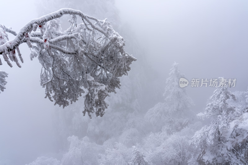 寒冷冬季大雪冰冻雾凇