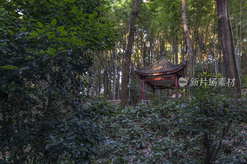 杭州宝石山白沙泉西湖名泉