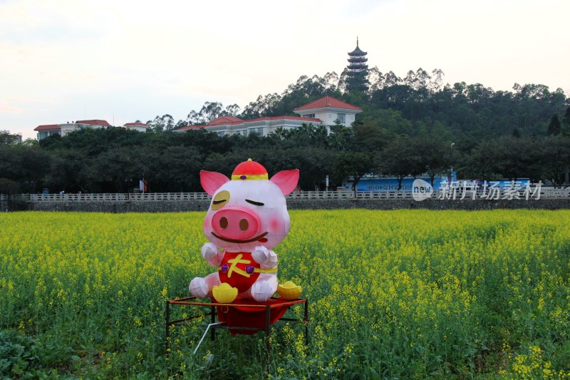 广东东莞：莲湖风景区油菜花田