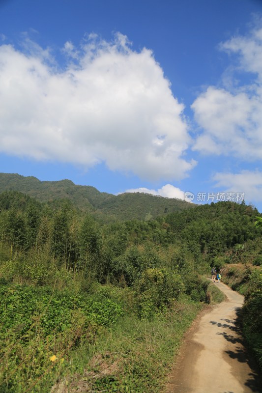 山间小路 山路 小路