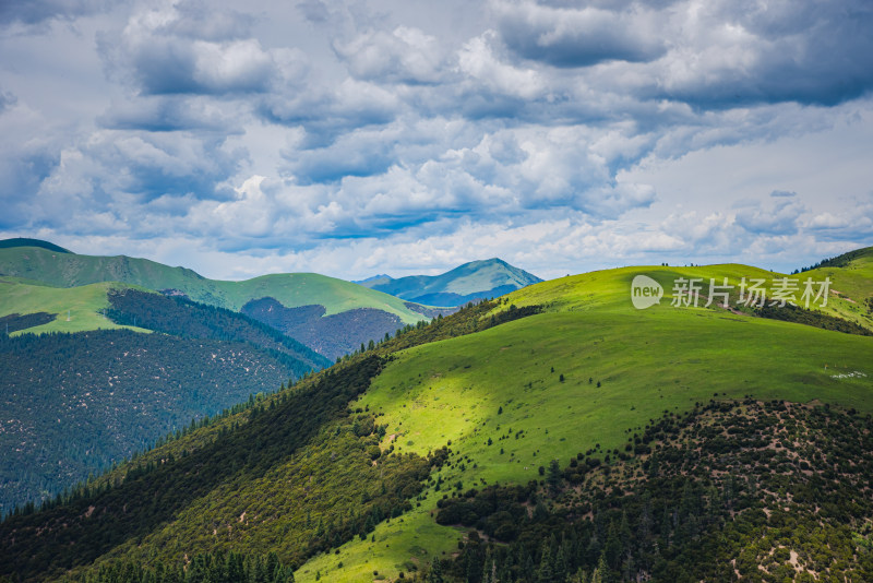 青翠山峦下的广阔草原