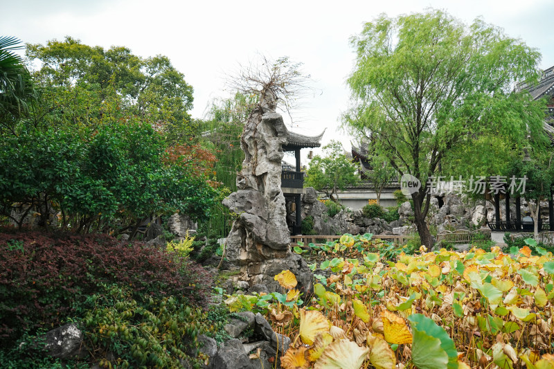 虹饮山房羡鱼池