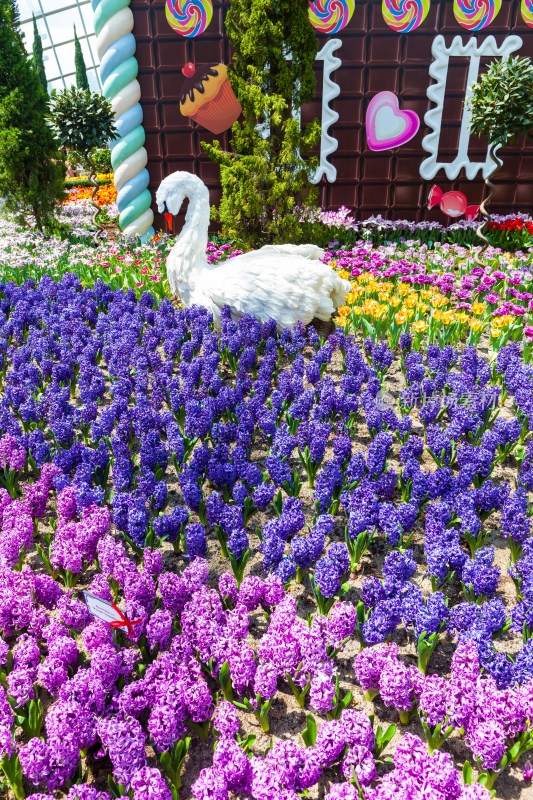 新加坡滨海湾花园