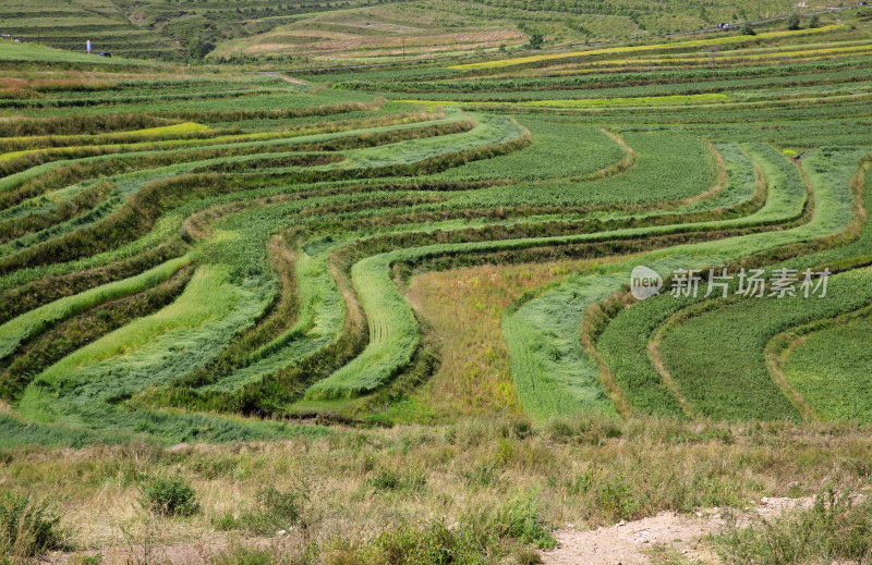 中国张北县草原深处的梯田