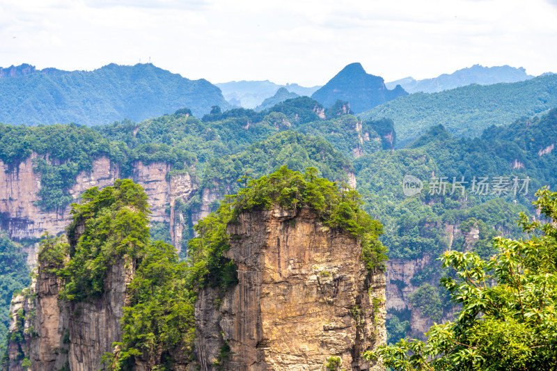 中国湖南张家界景区奇特山峰与茂密森林