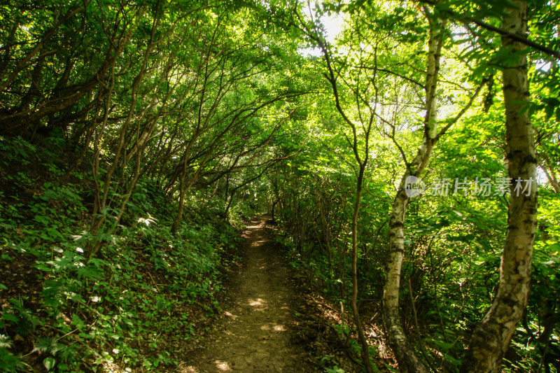 山林间的小路