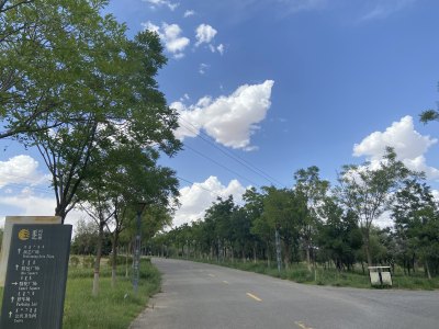 公园内道路及指示牌风景