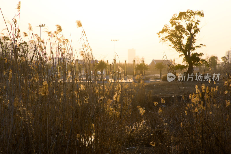 夕阳户外景观