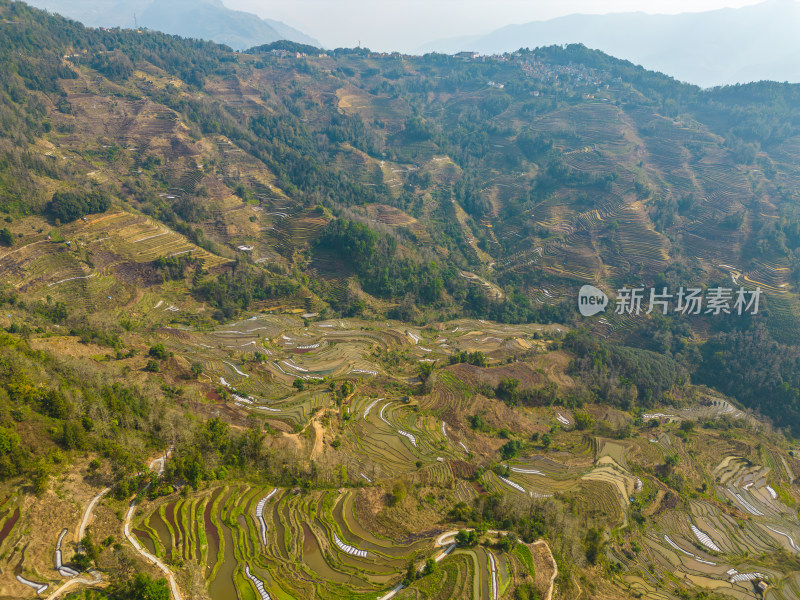 航拍红河州元阳梯田自然风光