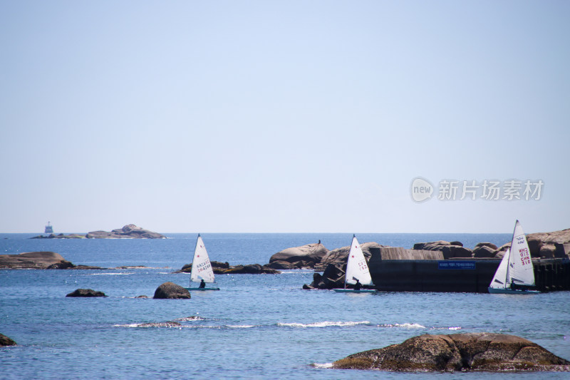 海面上竞速的帆船。