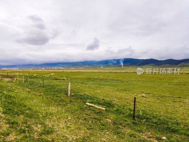 六月的青海湖风景