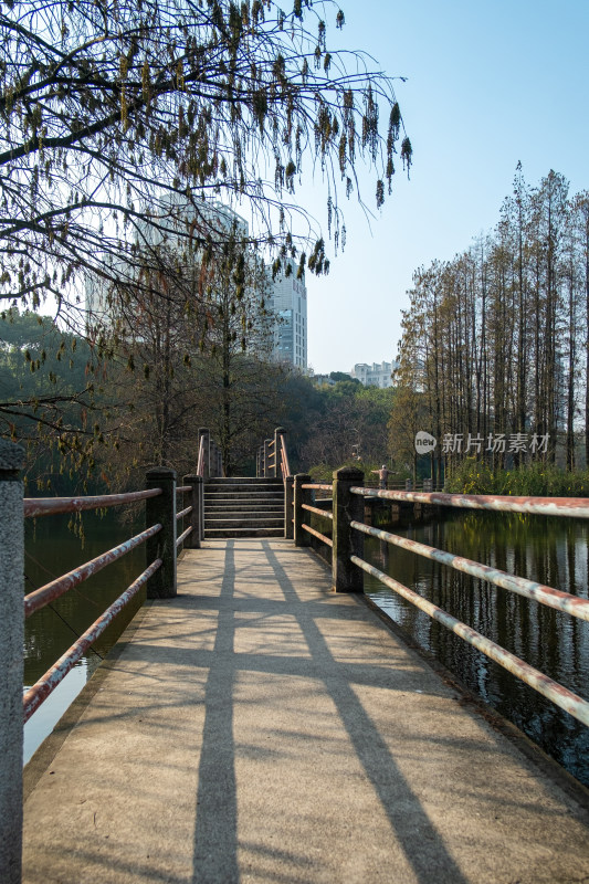 水上桥梁步道风景及周边树林建筑景观