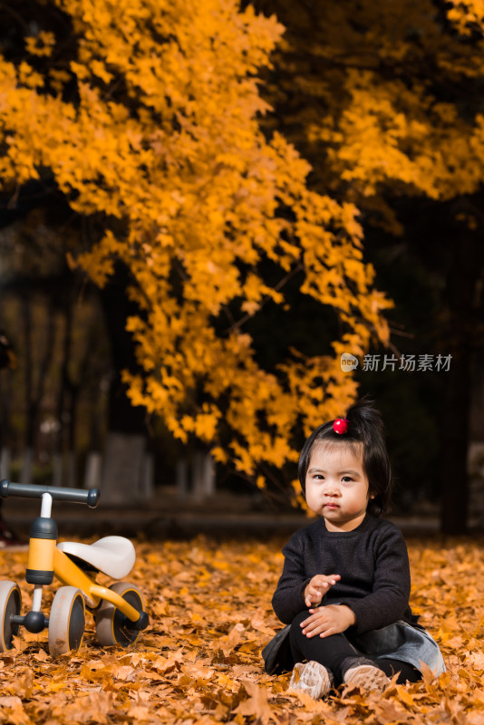 深秋坐在公园落满黄叶的草地上玩耍的女孩