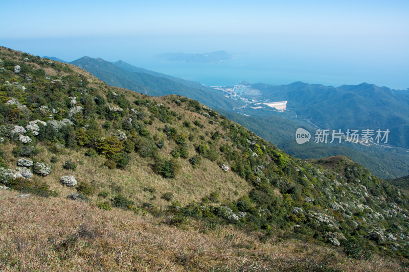 深圳七娘山风景