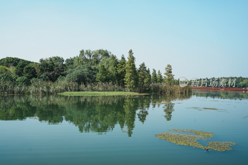 虎丘生态湿地公园